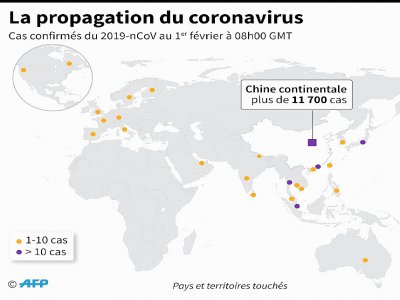 Pays et territoires où ont été confirmés des cas du nouveau coronavirus - Aude GENET [AFP]