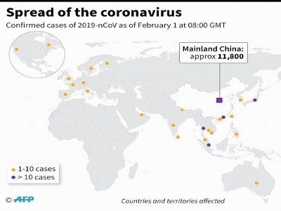 Spread of the new coronavirus - [AFP]