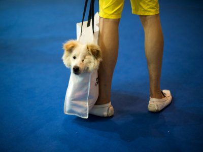 Un homme transporte son chien dans un sac à Shanghai, le 3 février 2020. - JOHANNES EISELE [AFP/Archives]