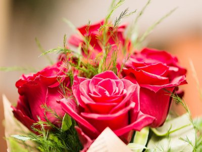 Tendance Ouest vous offre votre bouquet de fleurs le jour de la Saint-Valentin. - Pixabay