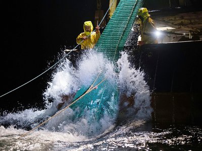 Pêche au filet pélagique en boeuf, dans le Golfe de Gascogne, le 8 janvier 2020 - LOIC VENANCE [AFP]