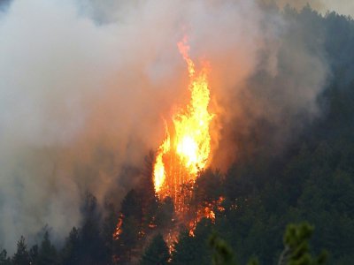 Un incendie de forêt en Corse en octobre 2017 - PASCAL POCHARD-CASABIANCA [AFP/Archives]