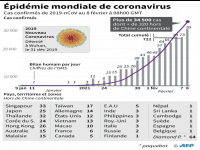 Epidémie mondiale du nouveau coronavirus - John SAEKI [AFP]
