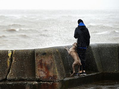 Un homme accompagné d'un chien regarde la mer à New Brighton dans le nord-ouest de l'Angleterre - Paul ELLIS [AFP]