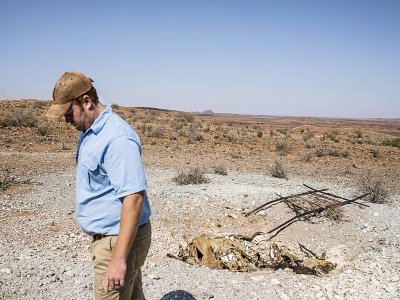 Burger Schoeman près d'un charnier d'animaux morts victimes de la sécheresse dans sa réserve du Cap-Nord, en Afrique du Sud - Guillem Sartorio [AFP]
