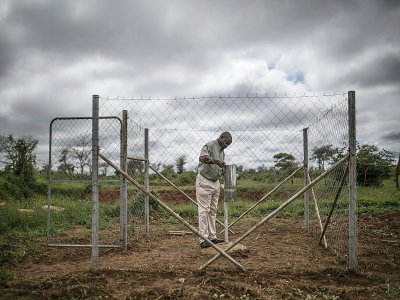 Godfrey Hapaka, agriculteur, consulte son pluviomètre dans sa ferme à Kaumba, le 21 janvier 2020 en Zambie - Guillem Sartorio [AFP]