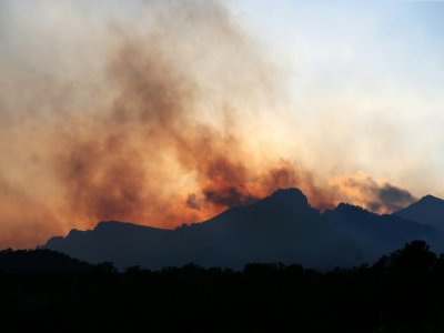 Incendie à Sari-Solenzara, le 11 février 2020 en Corse - PASCAL POCHARD-CASABIANCA [AFP]