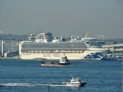 Le navire Diamond Princess ancré au port de Yokohama, le 13 février 2020 - Kazuhiro NOGI [AFP]