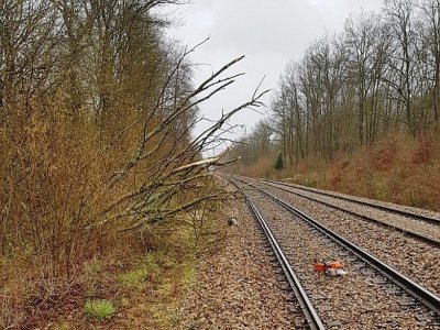 Des arbres et branches sont tombés à travers les rails. Cela a provoqué le report ou la suppression de certains trains, notamment en direction de Paris. - twitter sncf