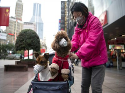 Dans une rue de Shanghai, le 19 février 2020 - NOEL CELIS [AFP]
