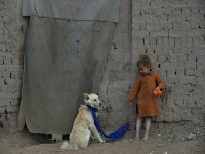 Un enfant et un chien, le 3 février 2020 à Jalalabad, en Afghanistan - NOORULLAH SHIRZADA [AFP]