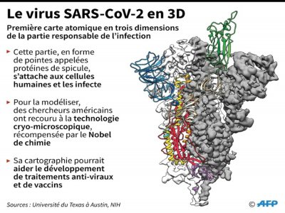 Le virus SARS-CoV-2 en 3D - Laurence CHU [AFP]