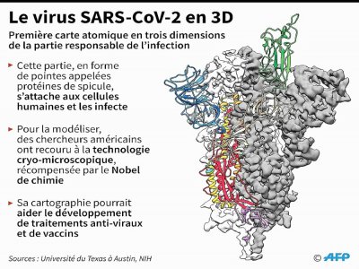 Le virus SARS-CoV-2 en 3D - Laurence CHU [AFP]