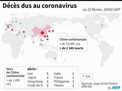 Décès au coronavirus - Laurence CHU [AFP]