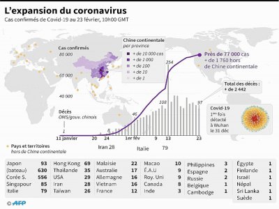 L'expansion du coronavirus - John SAEKI [AFP]