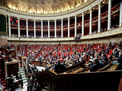 A l'Assemblée nationale, le 25 février 2020 - Ludovic Marin [AFP/Archives]
