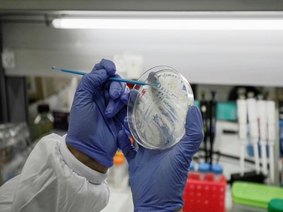 Berlin affirme vouloir défendre ses laboratoires pharmaceutiques travaillant sur un vaccin contre le coronavirus face aux appétits étrangers - JALAA MAREY [AFP/Archives]