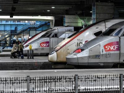 Trains TGV en gare Montparnasse à Paris, le 2 janvier 2020 - STEPHANE DE SAKUTIN [AFP/Archives]