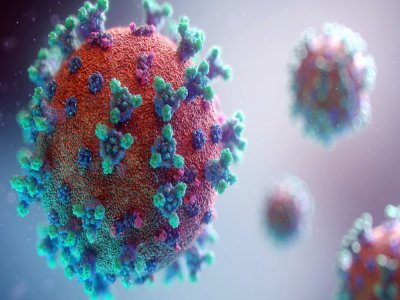 Le virus du Covid-19 pourrait tuer près de 240 personnes en Normandie d'ici le 14 avril, selon une étude scientifique.