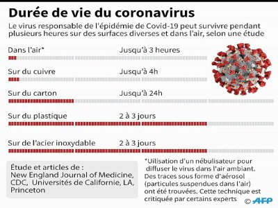 Le nouveau coronavirus peut survivre pendant plusieurs heures en dehors du corps humain, sur des surfaces diverses ou même dans l'air, d'après une étude publiée par le New England Journal of Medicine (NEJM) - John SAEKI [AFP]