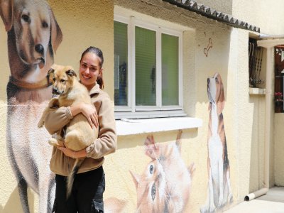 Seuls les animaliers travaillent encore au refuge de la SNPA sur l'île Lacroix à Rouen, les bénévoles sont tenus de rester chez eux.