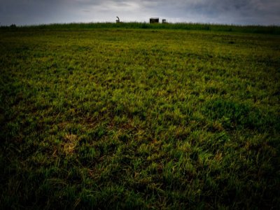 Plaines agricoles près de Moscou, le 26 juillet 2018 - Yuri KADOBNOV [AFP]