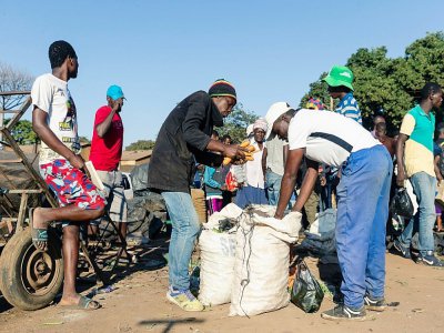 Uj homme vend des carottes sur un marché informel à Harare, au Zimbabwe, le 30 mars 2020 - Jekesai NJIKIZANA [AFP]