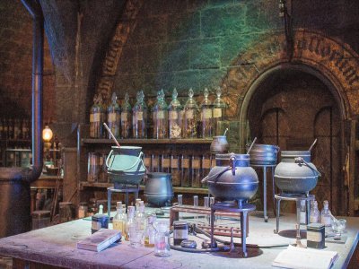 Un site internet propose de suivre les mêmes cours que le célèbre sorcier Harry Potter. - Celinedbt