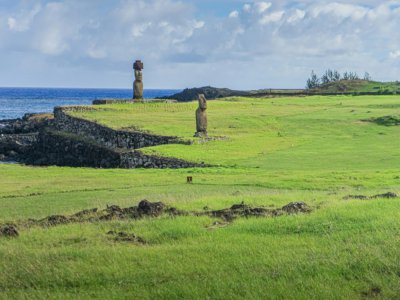 Des Moais, les statues monumentales emblématiques de la culture Rapa Nui, sur l'île de Pâques, le 31 mars 2020 au Chili - MIGUEL CARRASCO [AFP]