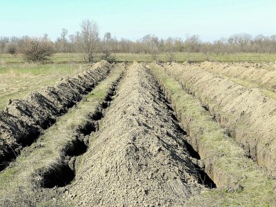 Des tombes qui viennent d'être fraichement creusées, le 7 avril 2020 à Dnipro en Ukraine en cas d'un afflux de morts du Covid-19 - Stanislav VEDMID [AFP]