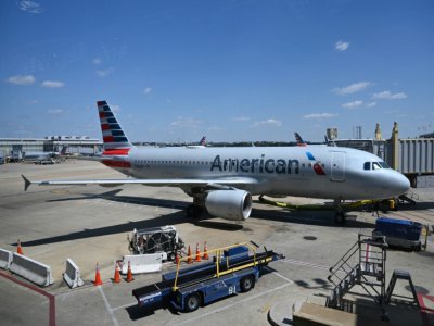 Un avion de la compagnie American Airlines sur le tarmac de l'aéroport d'Arlington, le 11 avril 2020 en Virginie - Daniel SLIM [AFP]
