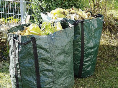 La collecte des déchets vert va reprendre son cours à Bayeux à partir du lundi 27 avril. - Pixabay
