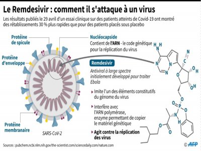 Le Remdesivir : comment il s'attaque à un virus - John SAEKI [AFP]