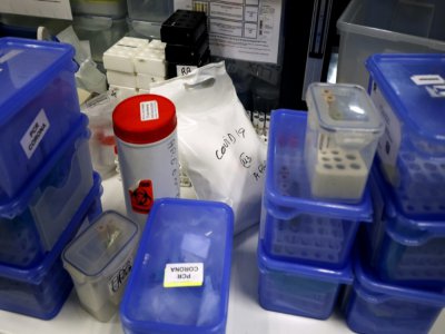 Echantillons prélevés sur des personnes pouvant être malades du Covid-19 et en attente d'être analysés dans un laboratoire à Levallois-Perret, près de Paris, le 22 avril 2020 - THOMAS COEX [AFP/Archives]