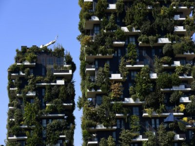 Le complexe architectural "Forêt verticale" de l'architecte et urbaniste italien Stefano Boeri en septembre 2017 à Milan - MIGUEL MEDINA [AFP/Archives]