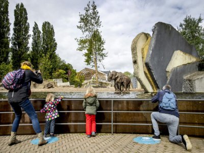 Respect des distanciations pour des visiteurs dans un zoo à Amsterdam, le 13 mai 2020 - Koen Van WEEL [ANP/AFP]