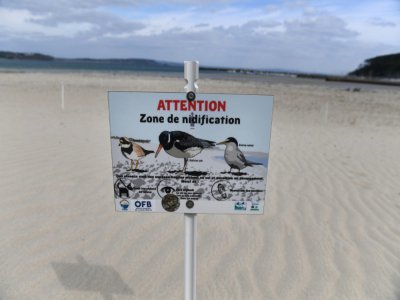 Une plage de la presqu'île de Crozon, en Bretagne, le 13 mai 2020 - Fred TANNEAU [AFP]