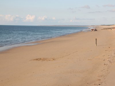 À Saint-Martin-de-Bréhal, la plage est de nouveau accessible depuis ce vendredi 15 mai. C'est le cas dans 25 communes de la Manche.