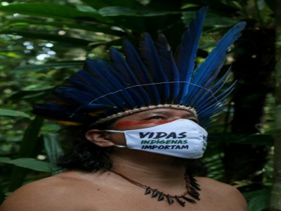 André Sateré de l'ethnie Sateré Mawé dans la forêt amazonienne, près de Manaus, récupère des herbes pour des traitements, le 17 mai 2020 - Ricardo OLIVEIRA [AFP]
