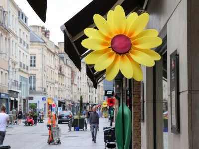 Des fleurs géantes ont été installées rue Saint-Pierre.
Elles seront visibles en ville jusqu'en juillet. - Sarah Deslandes