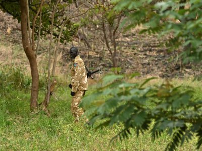 Un garde patrouille dans le parc national de Boma au Soudan du Sud, le 4 février 2020 - TONY KARUMBA [AFP]