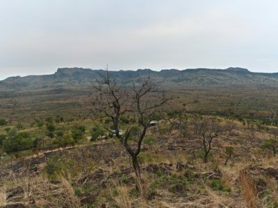Vue générale sur le parc national de Boma au Soudan du Sud, le 4 février 2020 - TONY KARUMBA [AFP]