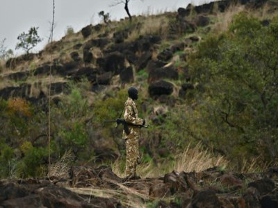 Un garde patrouille dans le parc national de Boma au Soudan du Sud, le 4 février 2020 - TONY KARUMBA [AFP]