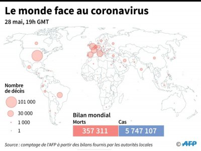 Nombre de morts liés au coronavirus officiellement annoncés par pays, au 28 mai à 19h GMT - Simon MALFATTO [AFP]