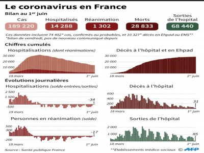 Augmentations journalières des morts du Covid-19 en France, des personnes en réanimation, des hospitalisations et des sorties d'hôpital, au 1er juin - Simon MALFATTO [AFP]