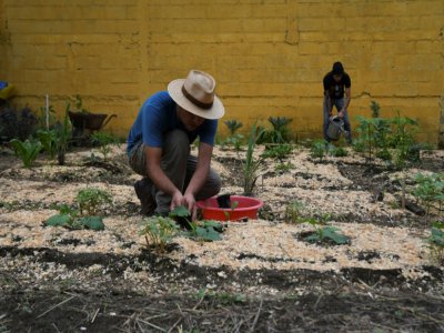 Erick Torres, éducateur pour une organisation internationale enseignant les techniques d'agriculture bio, et son neveu Alejandro Torres, dans leur potager à Antigua, le 27 mai 2020 au Guatemala - Johan ORDONEZ [AFP]