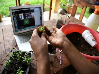 Erick Torres montre comment préparer des graines avant de les semer lors d'un cours en ligne, à Antigua le 27 mai 2020 au Guatemala - Johan ORDONEZ [AFP]
