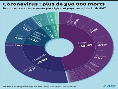 Coronavirus : plus de 380 000 morts - Simon MALFATTO [AFP]
