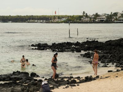 Des touristes sur la plage Puerto Ayora, sur l'île de Santa Cruz, en février 2019 - Rodrigo BUENDIA [AFP/Archives]