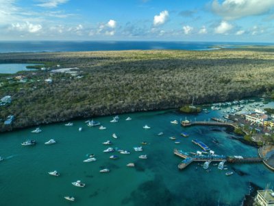 La baie de Puerto Ayora, aux Galapagos (Equateur), le 21 janvier 2018 - Pablo COZZAGLIO [AFP/Archives]